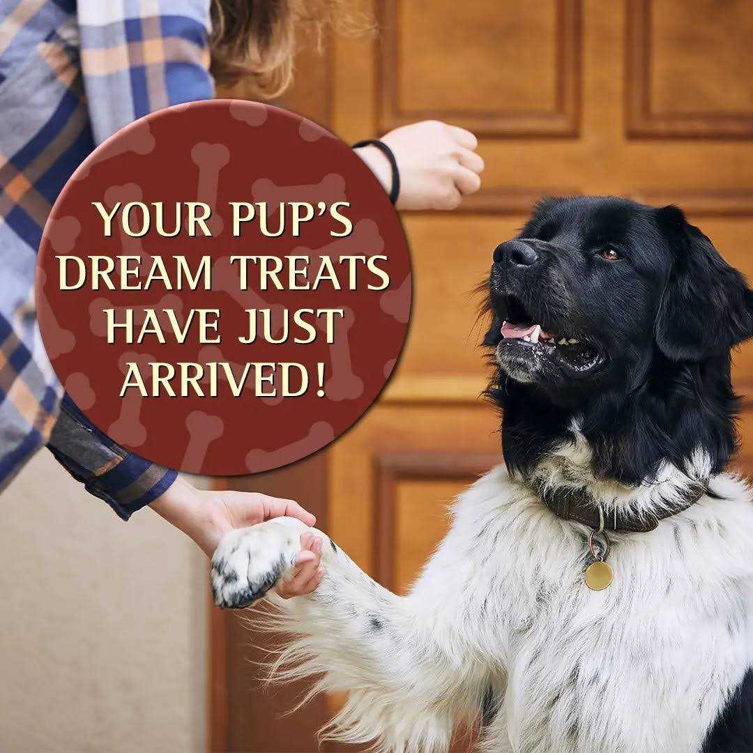 Zignature Soft Moist Dog Treats - Nail Gallerys