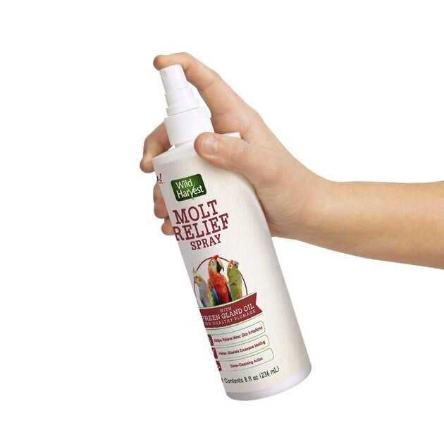 Wild Harvest Molt Relief Spray for All Birds - Nail Gallerys