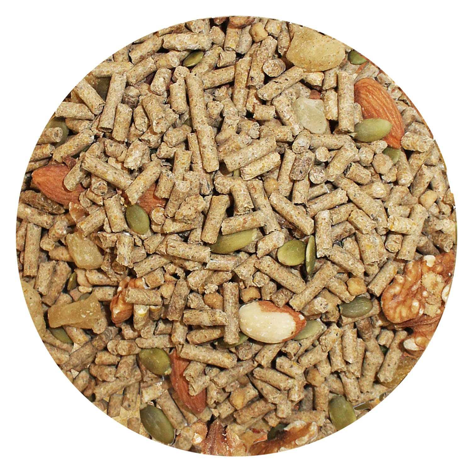Exotic Nutrition Deluxe Diet Squirrel Food - Nail Gallerys