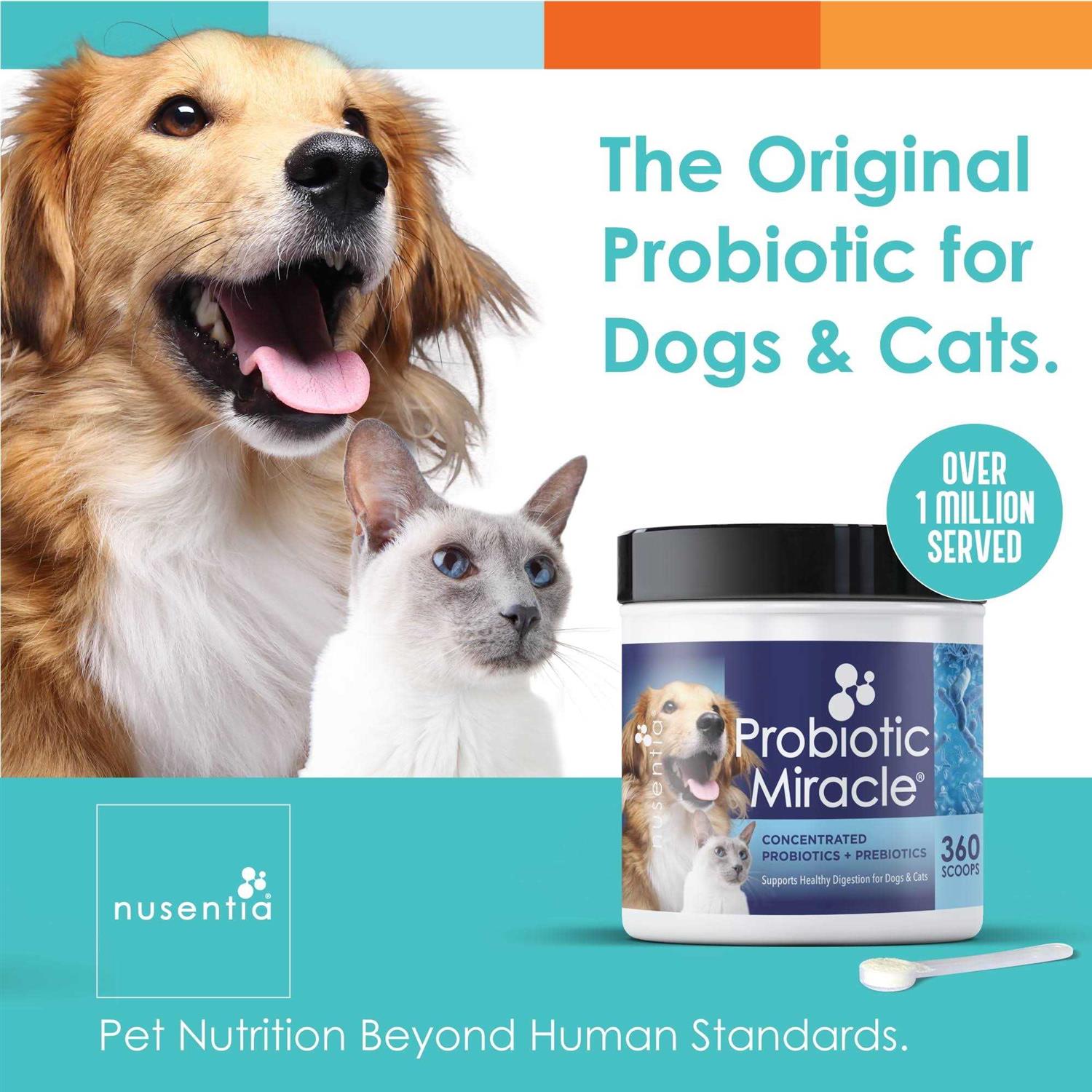 Nusentia Probiotic Miracle Probiotics for Dogs - Nail Gallerys
