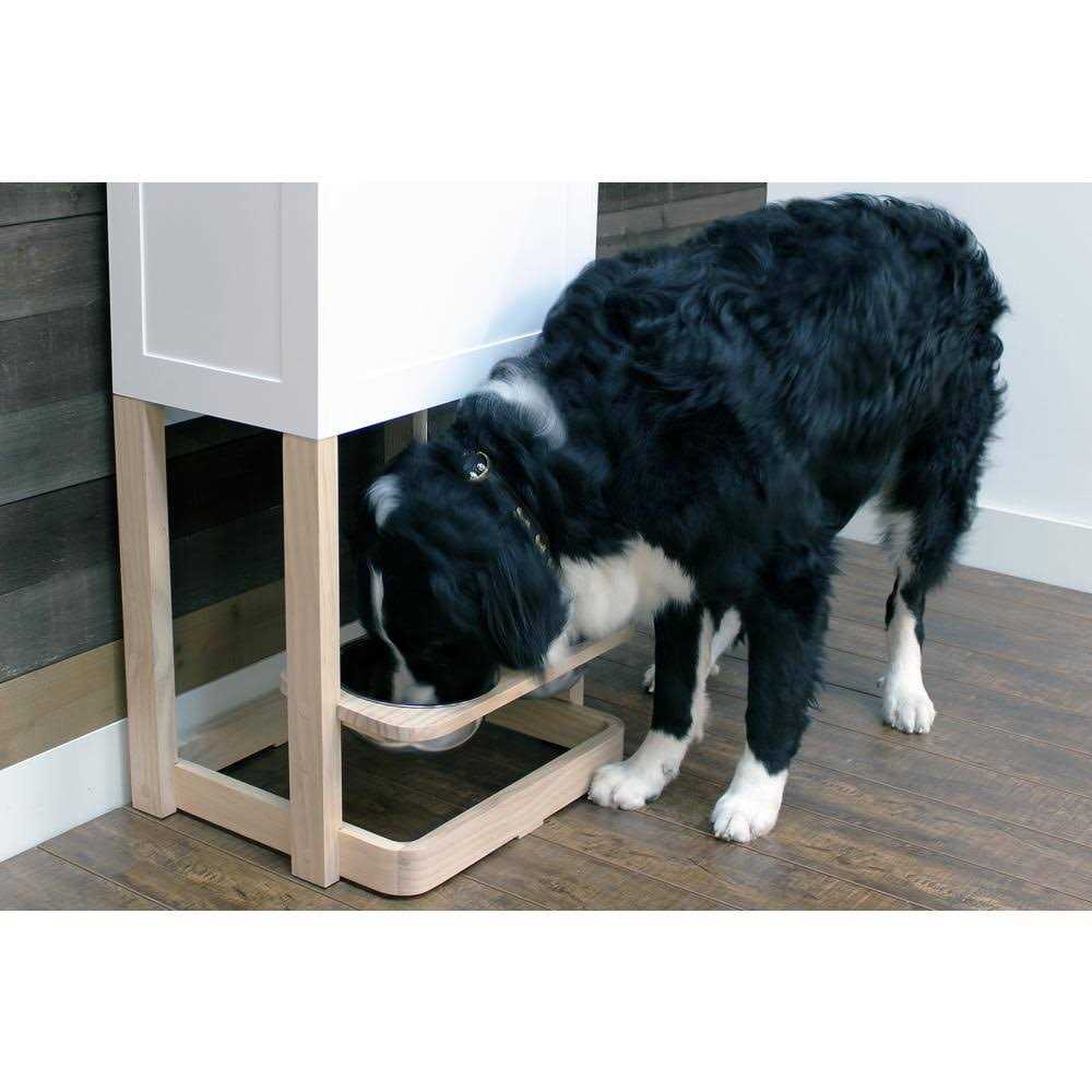 Zoovilla Parlor Pet Feeder Station PTF0093920110 - Nail Gallerys