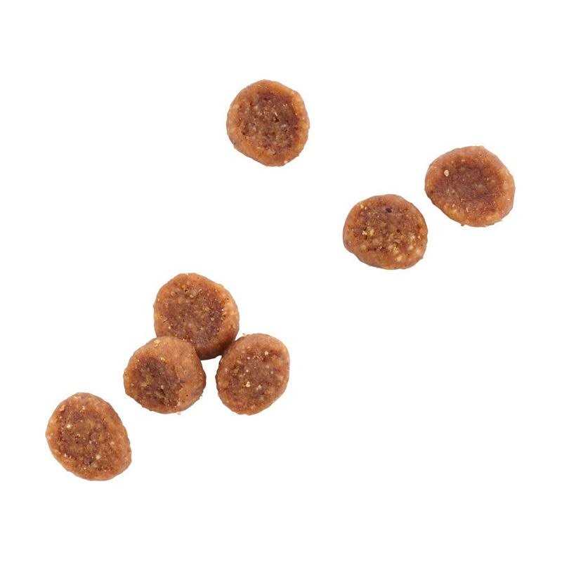 WholeHearted Grain Free Chicken Recipe Dry Kitten Food - Nail Gallerys