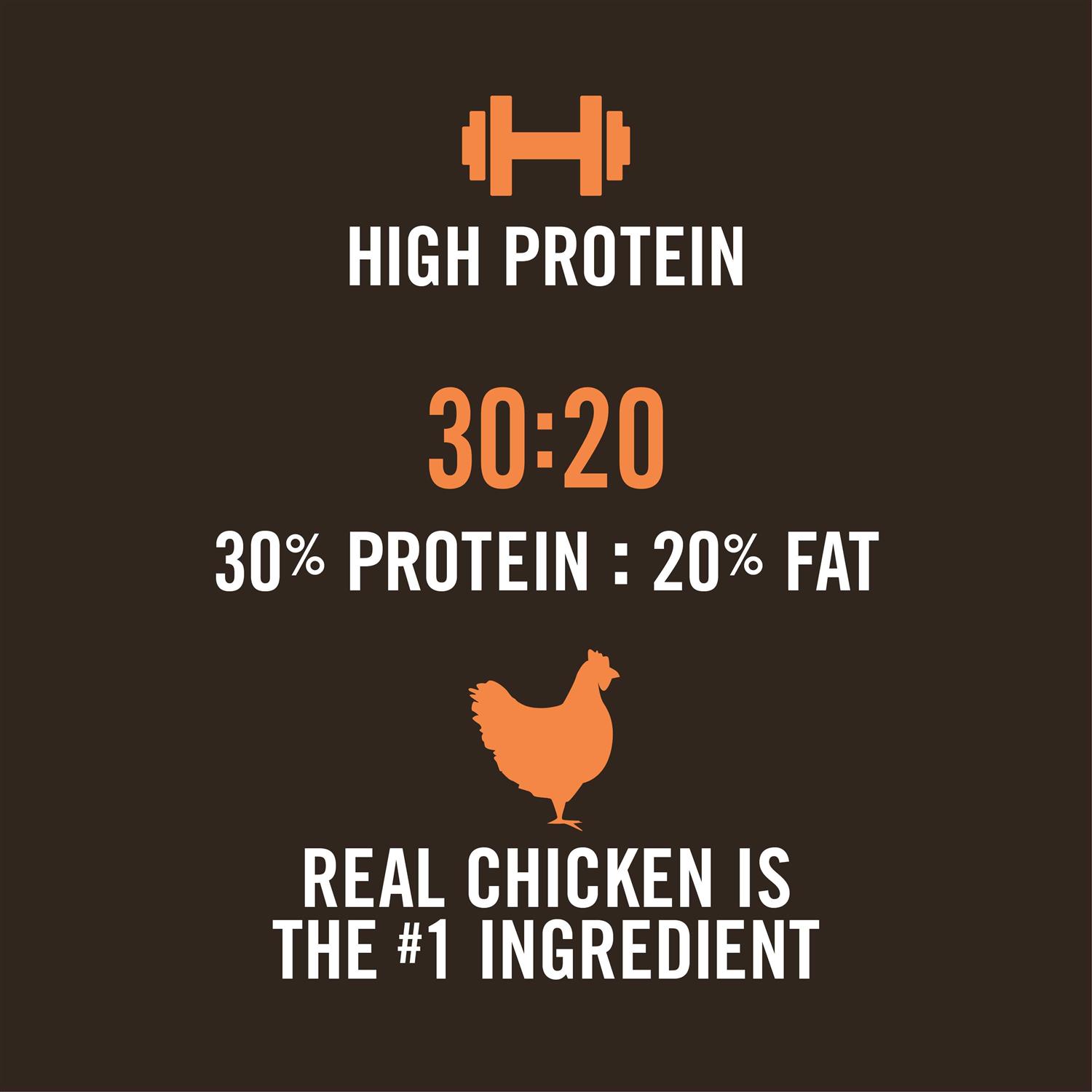 WholeHearted Active Performance High-Protein Chicken & Rice Recipe Dry Dog Food - Nail Gallerys