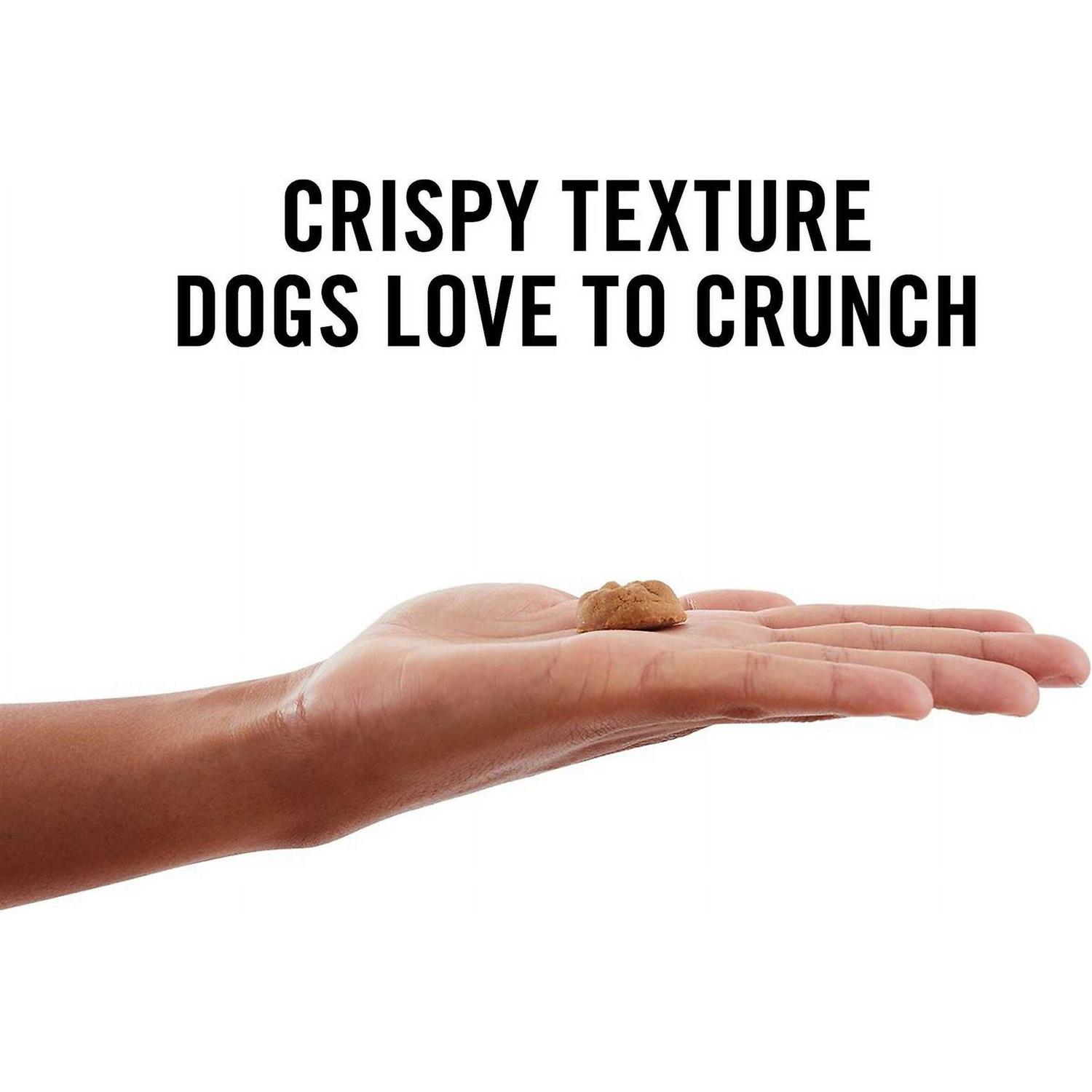 American Journey Peanut Butter Recipe Grain-Free Oven Baked Crunchy Biscuit Dog Treats - Nail Gallerys