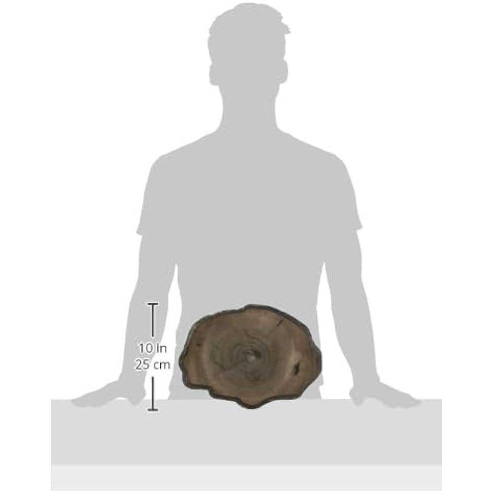 Zoo Med Repti Rock Food Dish - Nail Gallerys