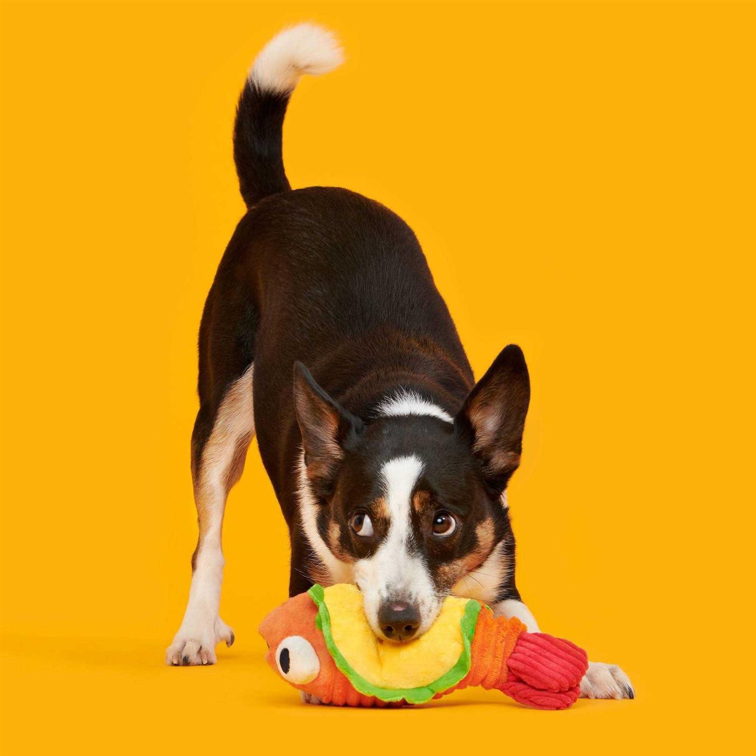 BARK Eduardo The Shrimp Taco Dog Toy - Nail Gallerys
