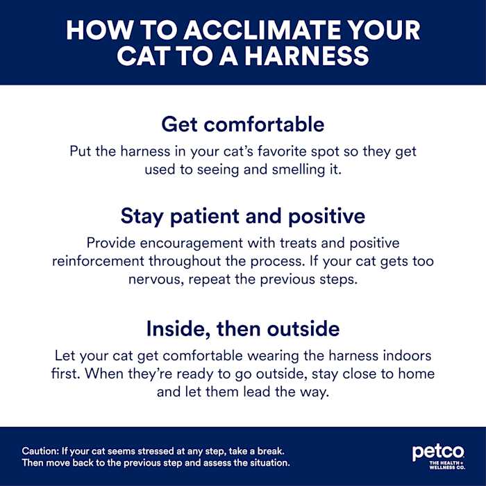 YOULY Harness - Nail Gallerys