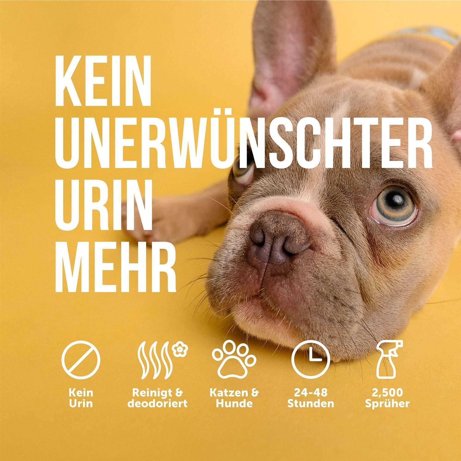 Petsly Anti cat & Dog Urine Spray 17 Fl Oz No More Marking Spray for Dogs & cats - Nail Gallerys