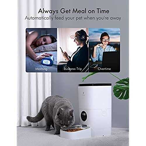 PETLIBRO Automatic Cat Cat Food Dispenser - Nail Gallerys