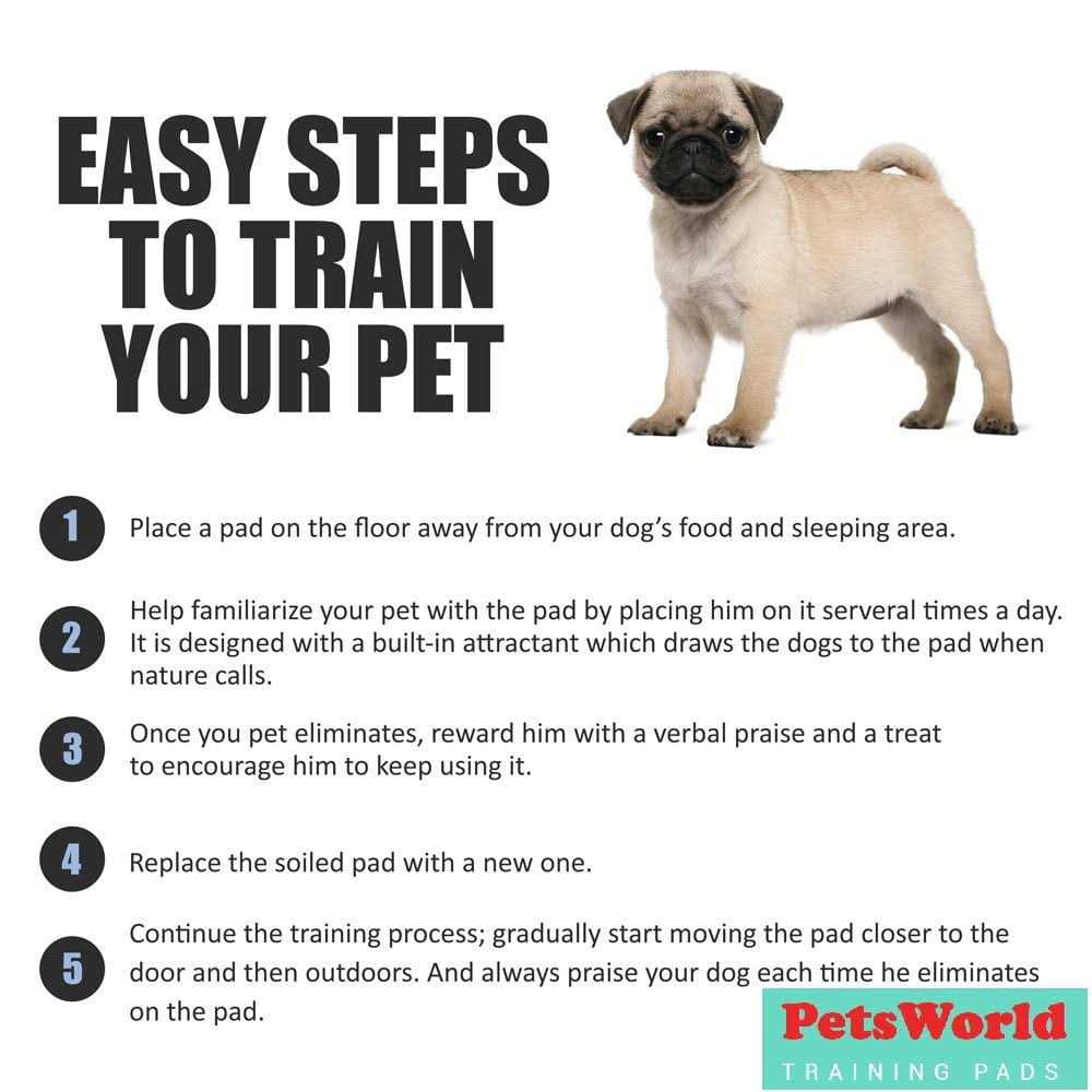 Petsworld Giant Potty Pads Odor Eliminating 36 x Pee Pads for Dogs - Nail Gallerys