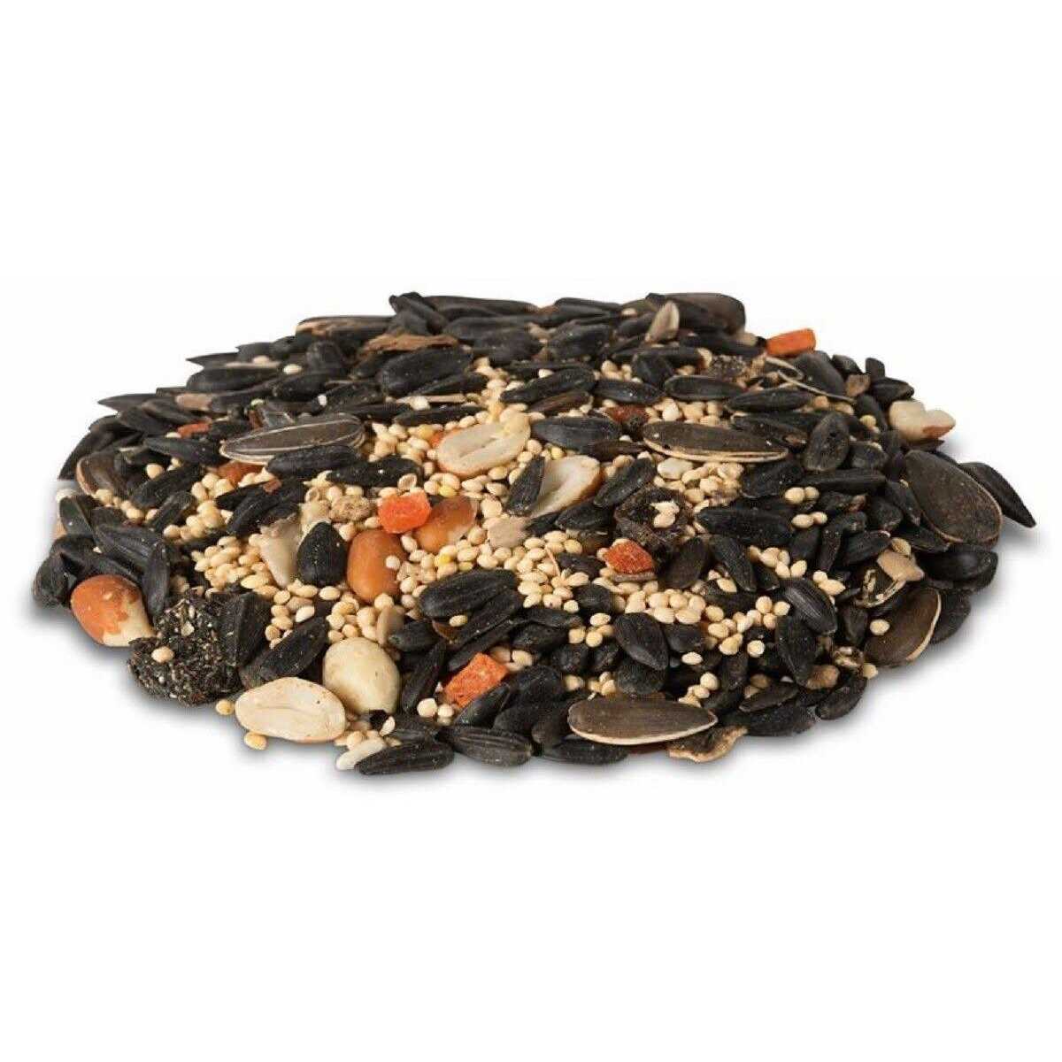Royal Wing Fruit and Nut Bird Food Mix - Nail Gallerys