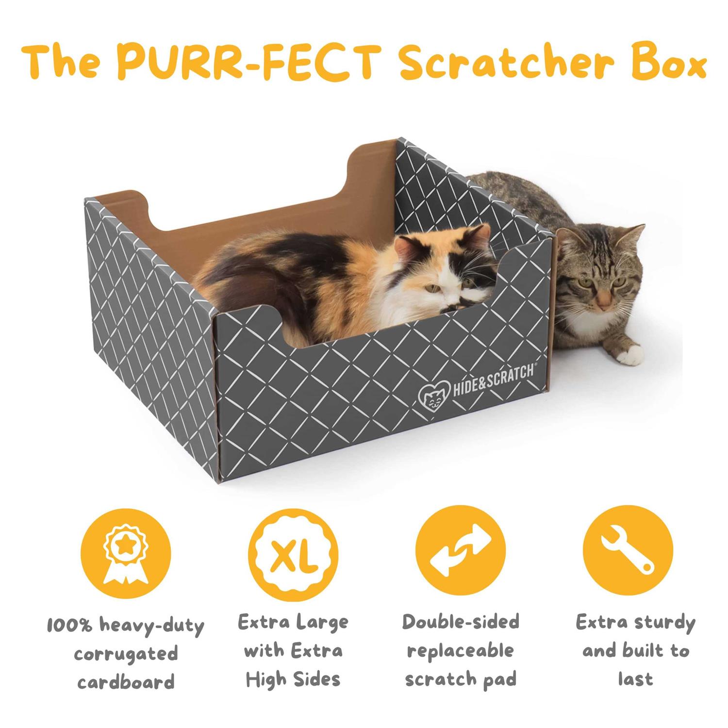 Hide & Scratch Extra-Large Heavy Duty Cardboard Cat Scratcher and Lounger Box with Refillable Scratch Pad - Nail Gallerys