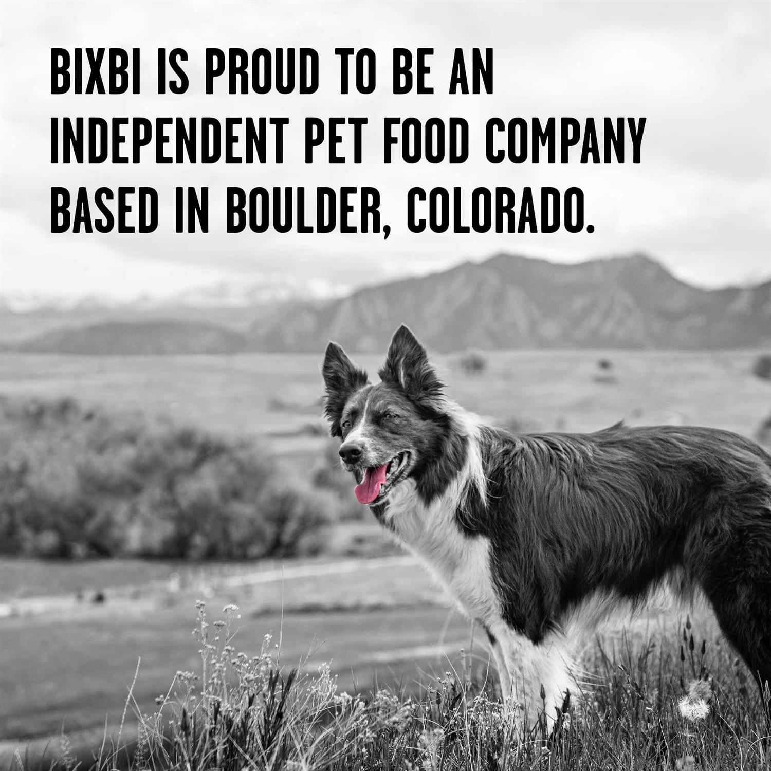Bixbi Rawbble Chicken Freeze-Dried Dog Food - Nail Gallerys