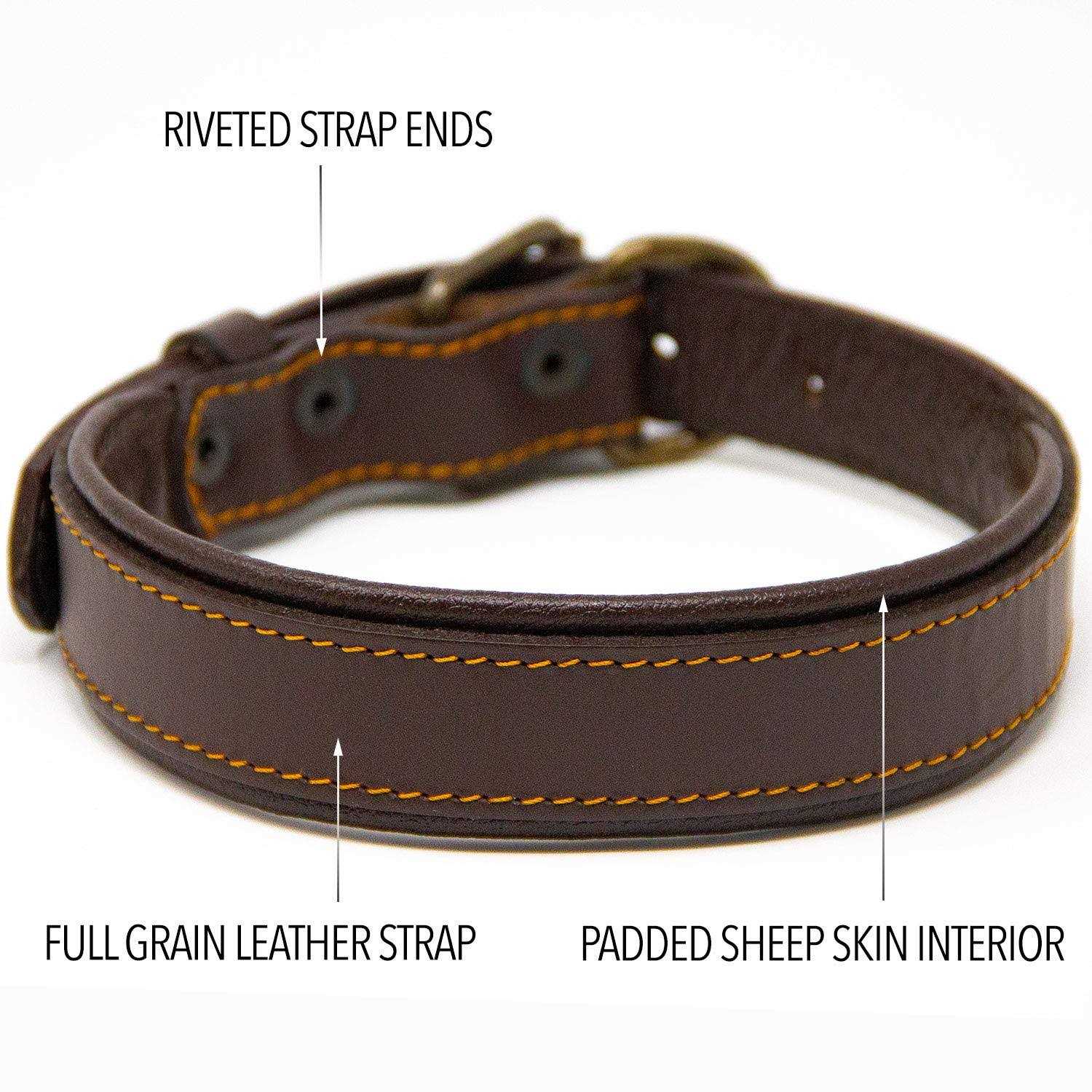 Logical Leather Padded Dog Collar Best Full Grain Genuine Leather Collar - Nail Gallerys