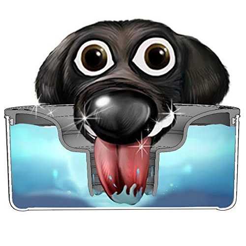 Slopper Stopper Dripless Water Bowl Tritan Plastic Bowl Unit Breed Dogs - Nail Gallerys