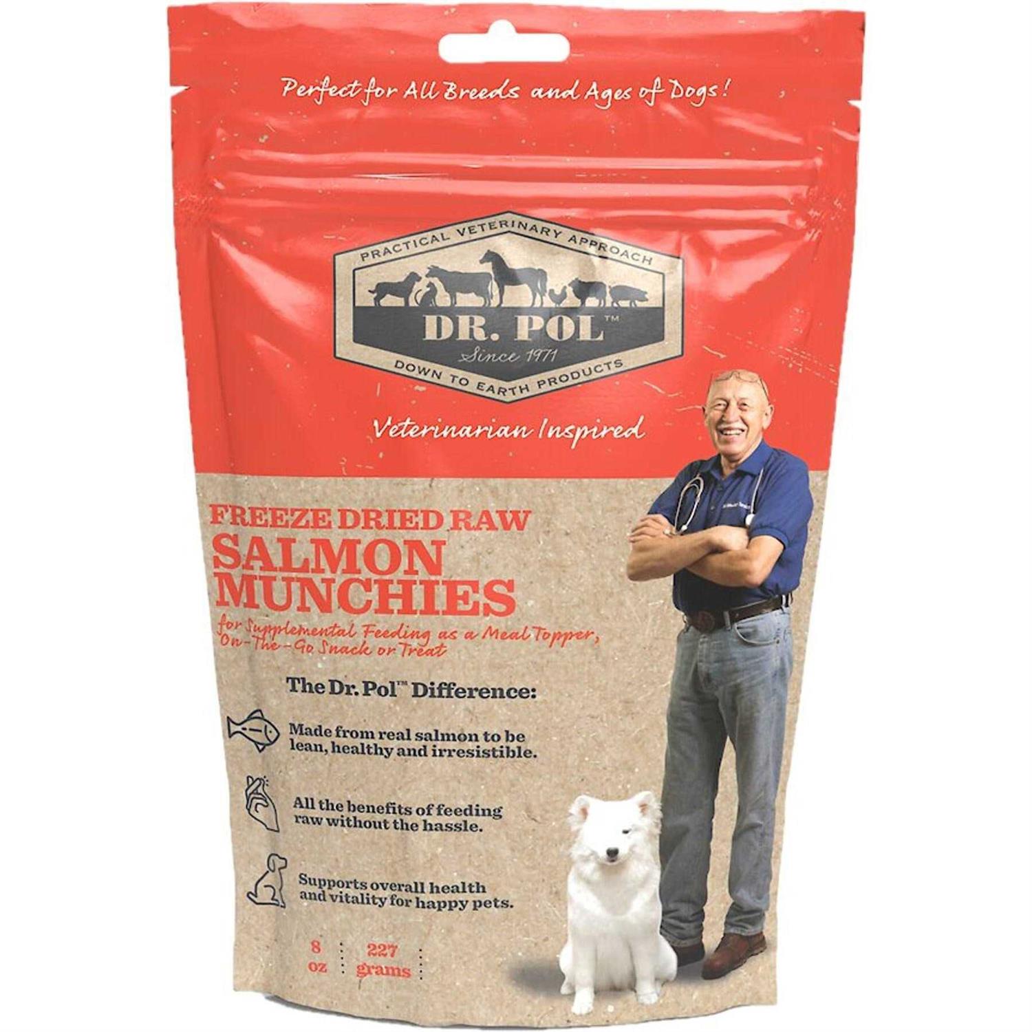 Dr. Pol Freeze Dried Munchies Salmon Dog Treat and Meal Topper - Nail Gallerys