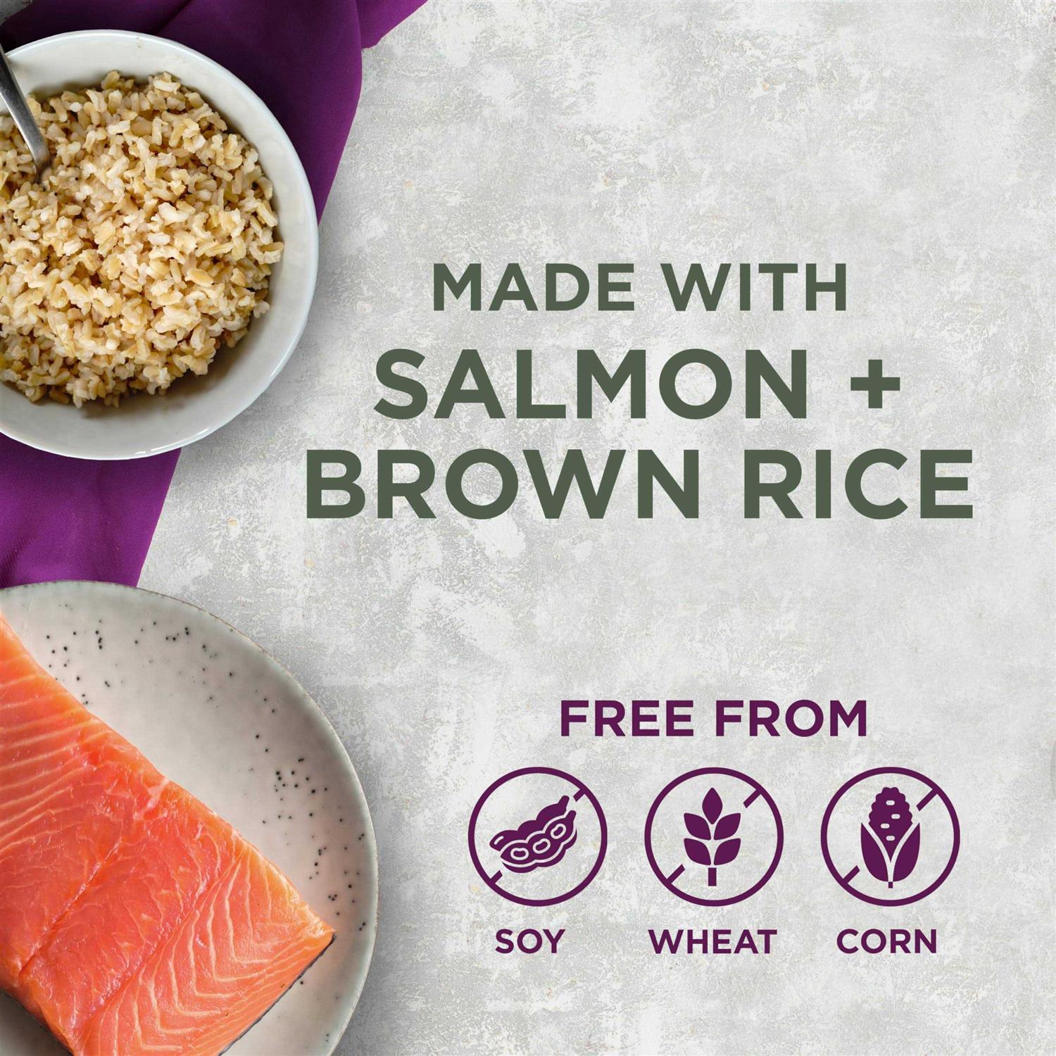 Blackwood Pet Food All Life Stages Special Diet - Nail Gallerys