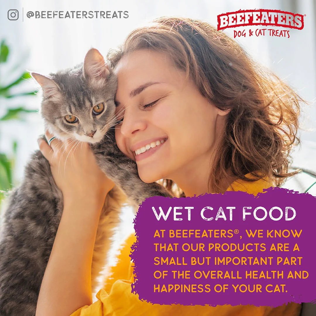 Beefeaters Pate Wet Cat Food, Case of 24 - Nail Gallerys