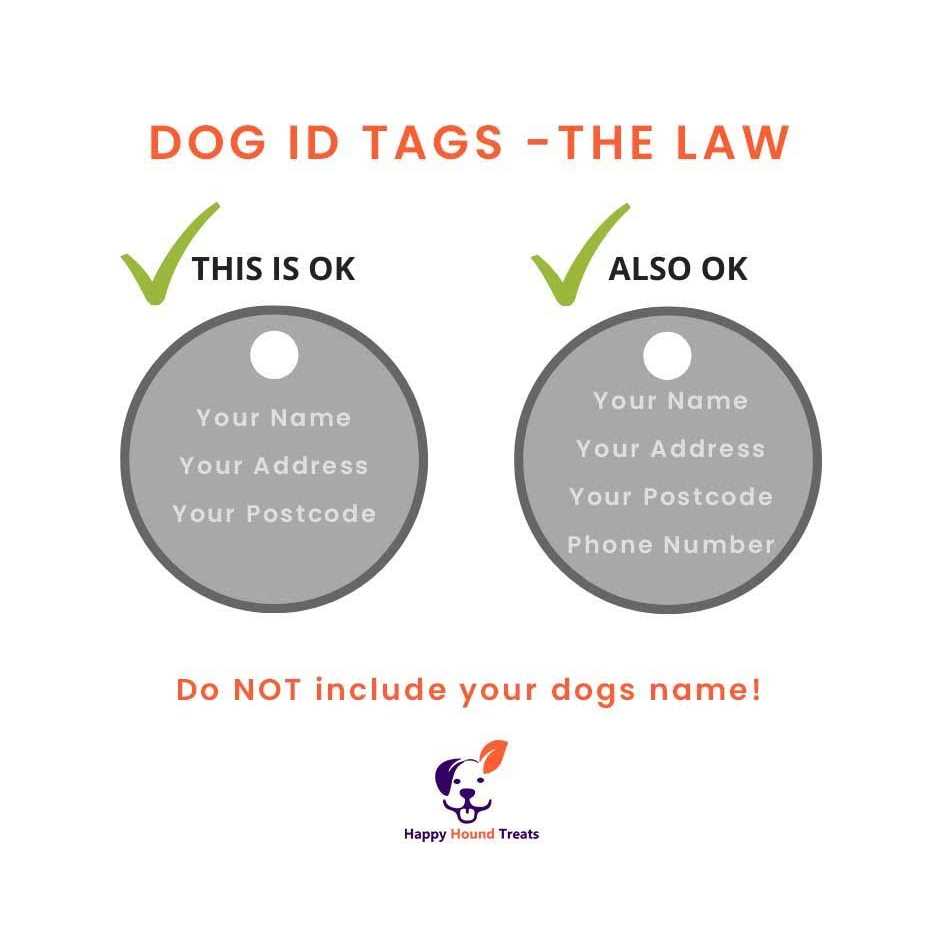 Red Dingo Medical ID Dog Tag - Nail Gallerys