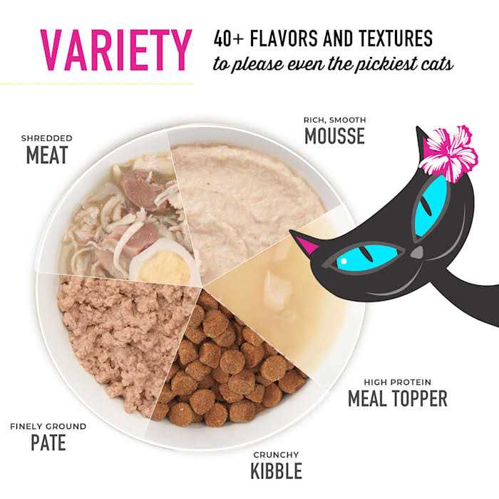 Tiki Cat Velvet Mousse Senior Chicken with Pumpkin Cat Food - Nail Gallerys