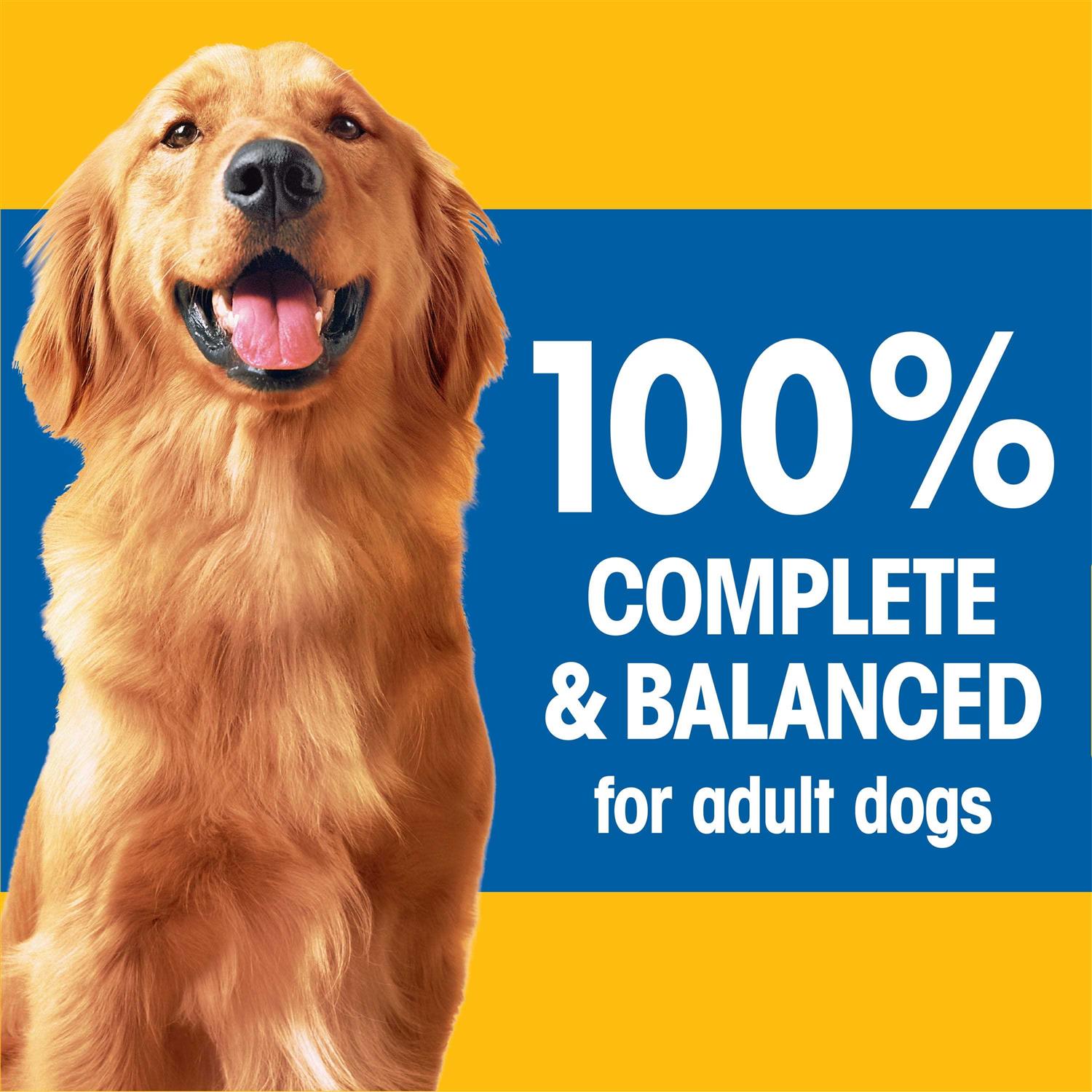 Pedigree Complete Nutrition Adult Dry Dog Food - Nail Gallerys