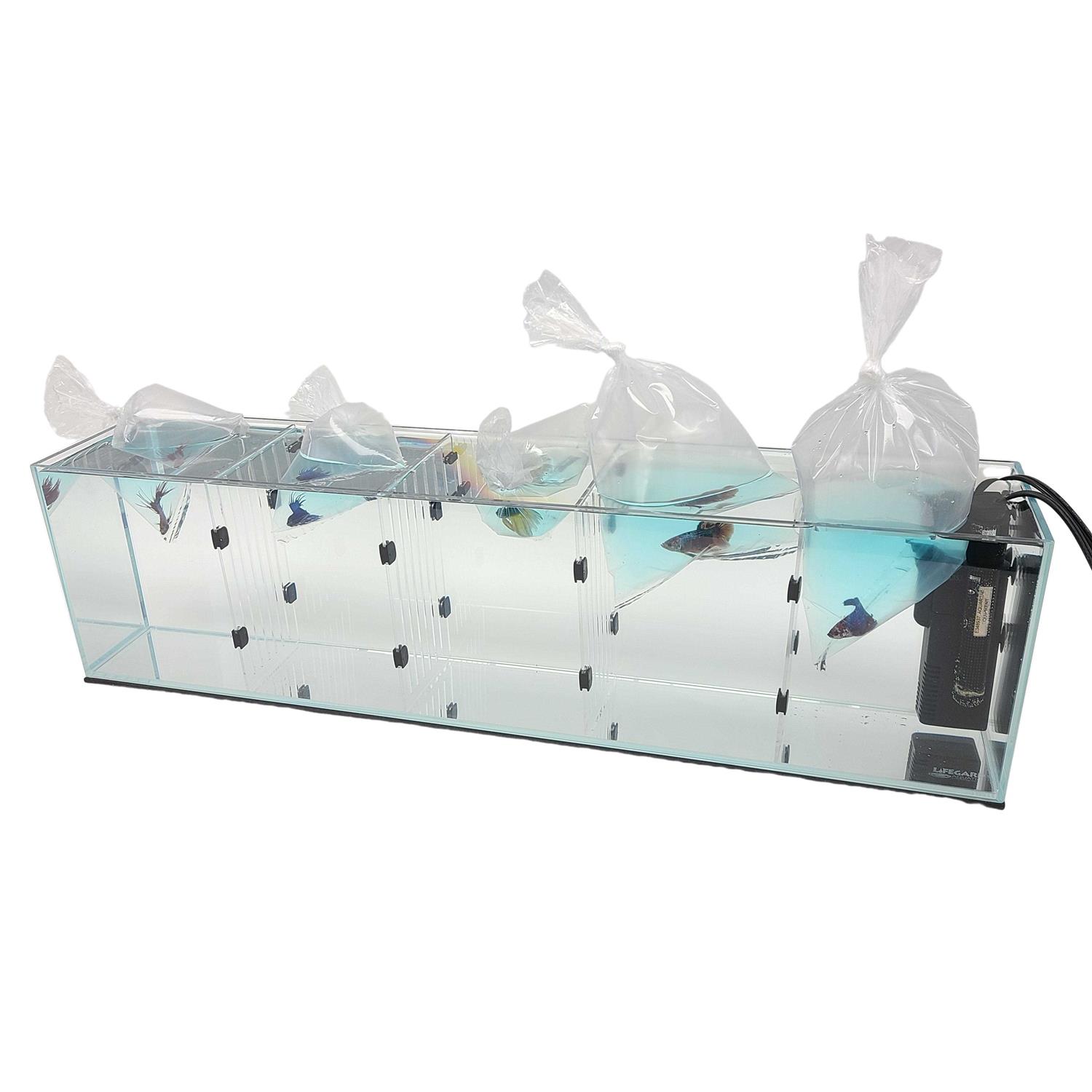 Lifegard Aquarium R460041 & R460081 Acrylic - Nail Gallerys