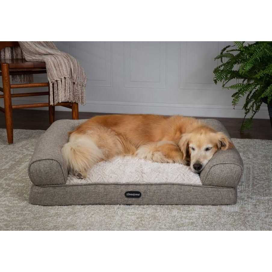 Beautyrest Luxe Lounger Cat & Dog Bed - Nail Gallerys