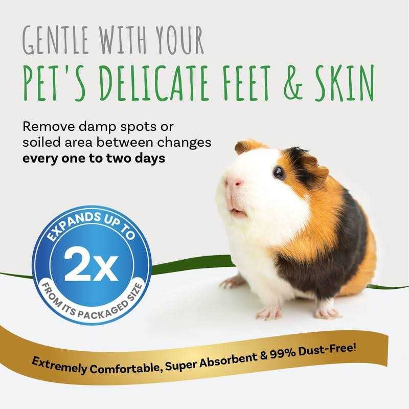 Small Pet Select Aspen Bedding - Nail Gallerys