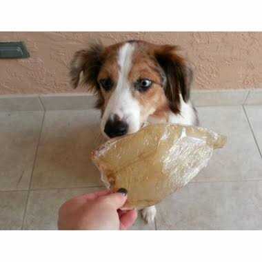 Bingo Free Range Buffalo Ears for Dogs - Nail Gallerys