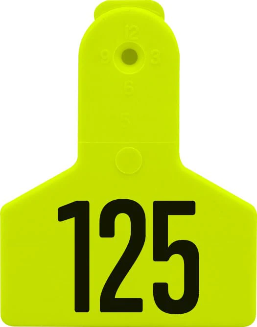 Special Order Z1 No-Snag Numbered 1-Piece Ear Tags, 25 ct - Nail Gallerys