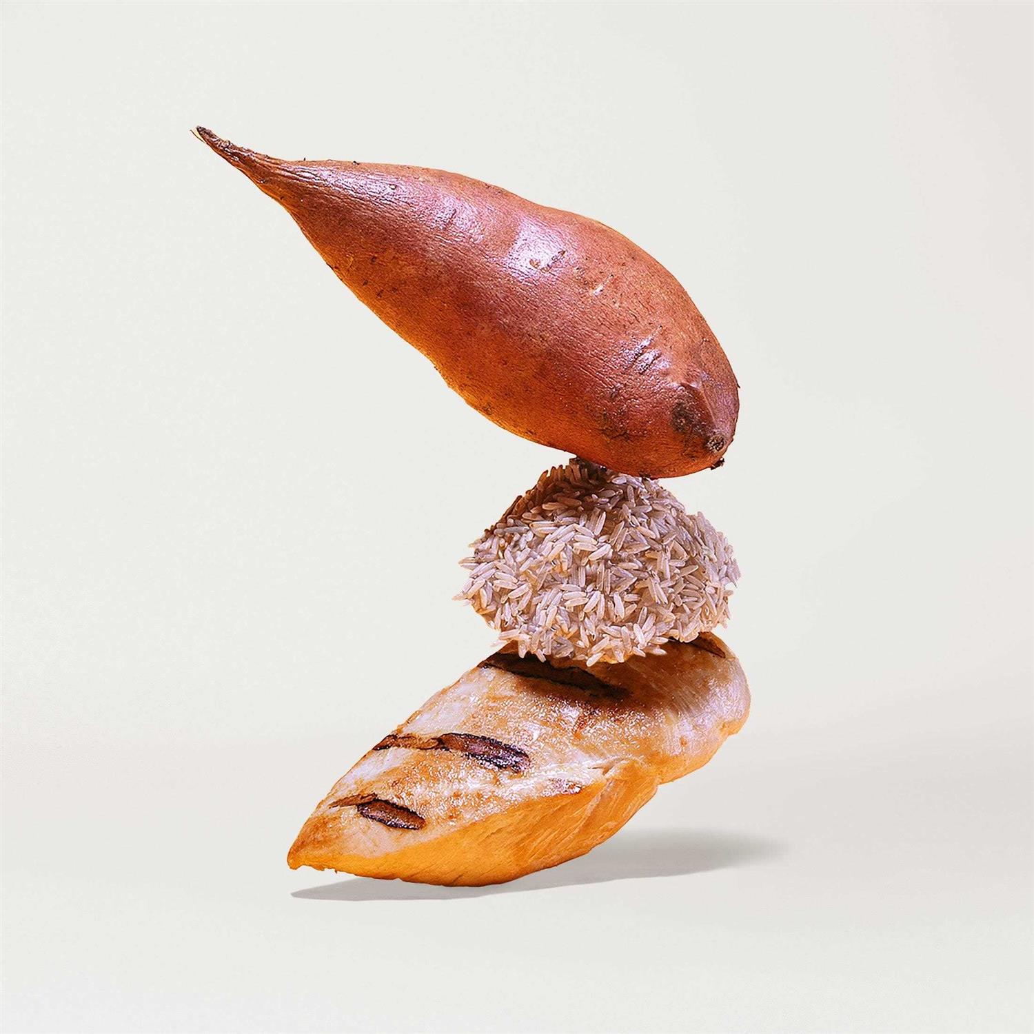 Jinx Chicken Brown Rice & Sweet Potato Dry Dog Food - Nail Gallerys