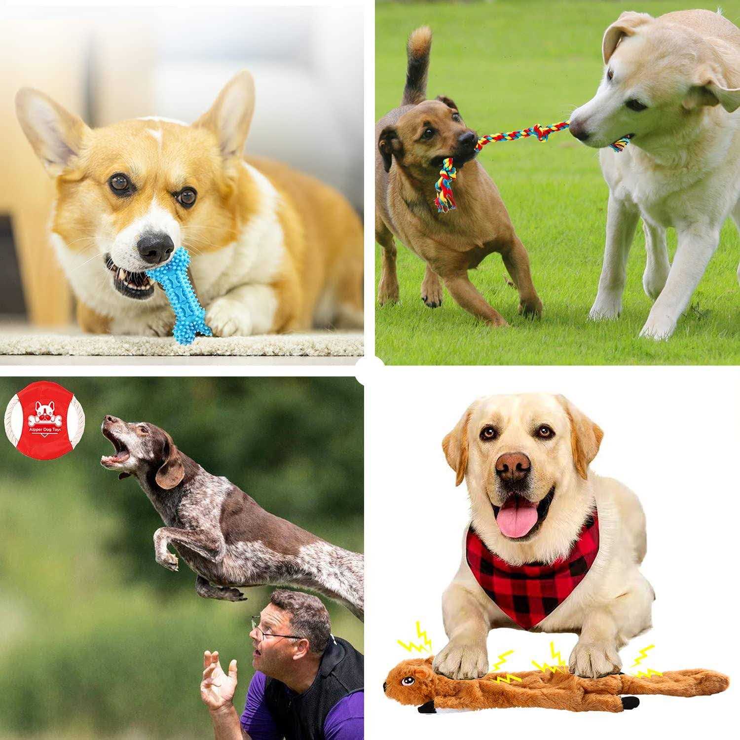 Aipper Dog Puppy Toys 20 Pack, Puppy Chew Toys for Fun and Teeth Cleaning - Nail Gallerys