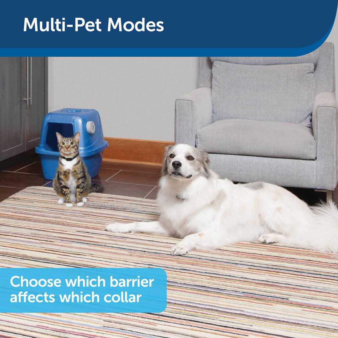 PetSafe Pawz Away Mini Pet Barrier - Nail Gallerys