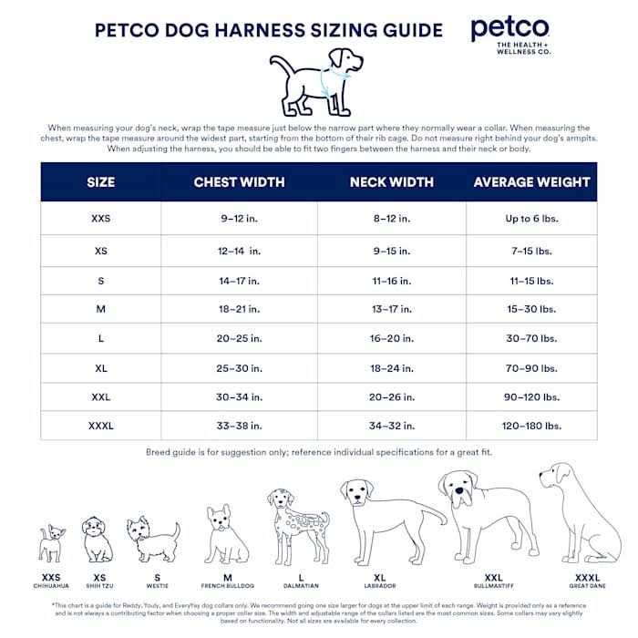 YOULY Mesh Dog Harness - Nail Gallerys