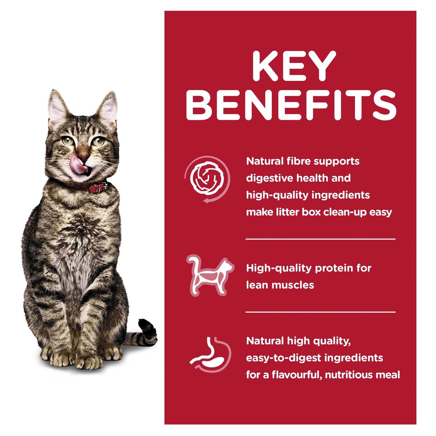 Hill’s Science Diet Adult 7+ Indoor Dry Cat Food - Nail Gallerys