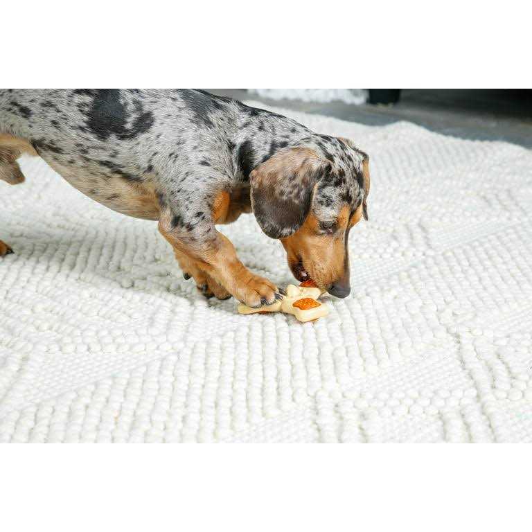 Hartz Chew n Clean Tri-Point Chew Toy - Nail Gallerys