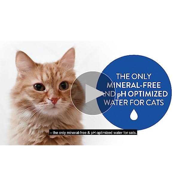 Catwater by Vetwater ph-Balanced and Mineral-Free Cat Water Clinically Proven Urinary Formula - Nail Gallerys