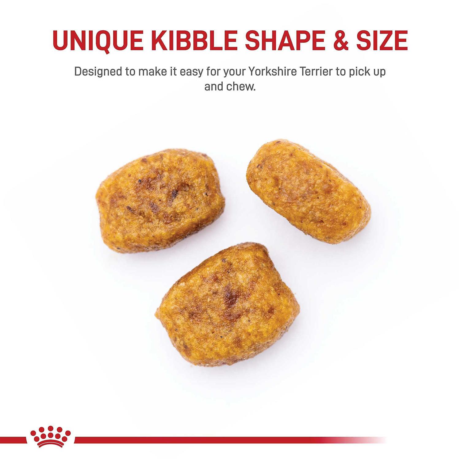 Royal Canin Adult Yorkshire Terrier Dry Dog Food - Nail Gallerys