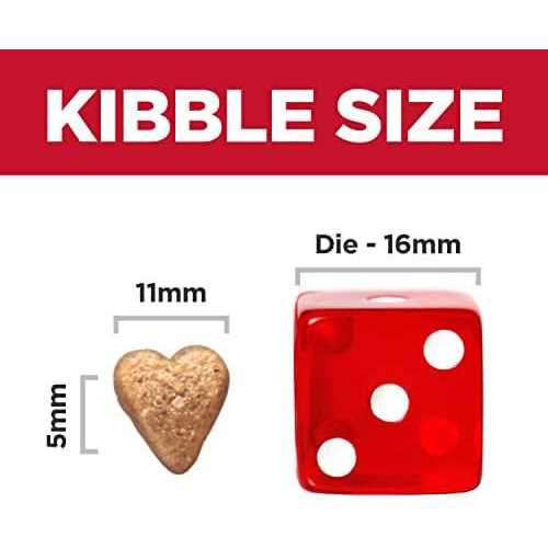 Hill’s Science Diet Adult Perfect Weight & Joint Support Chicken Recipe Dry Dog Food - Nail Gallerys