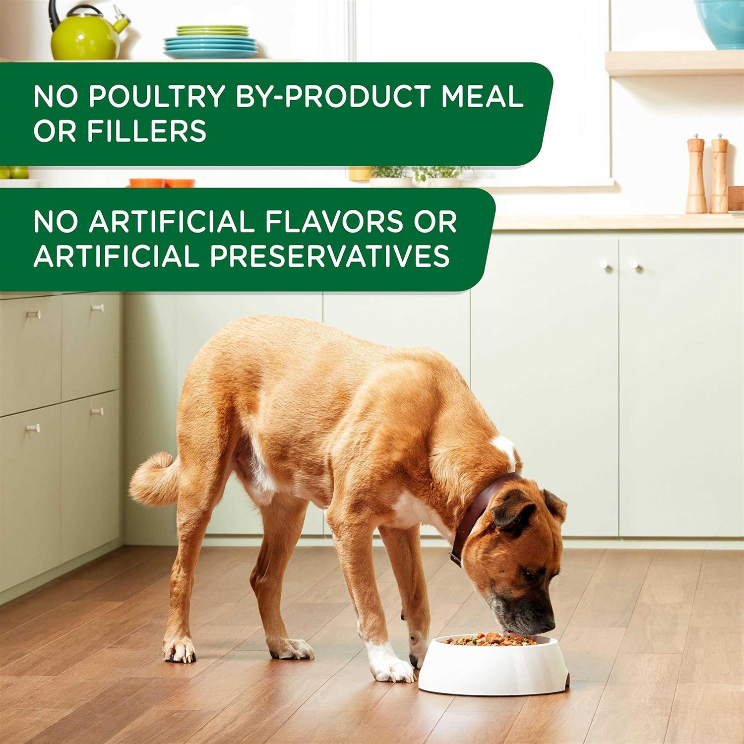 Rachael Ray Nutrish Wet Dog Food Chicken & Apple - Nail Gallerys