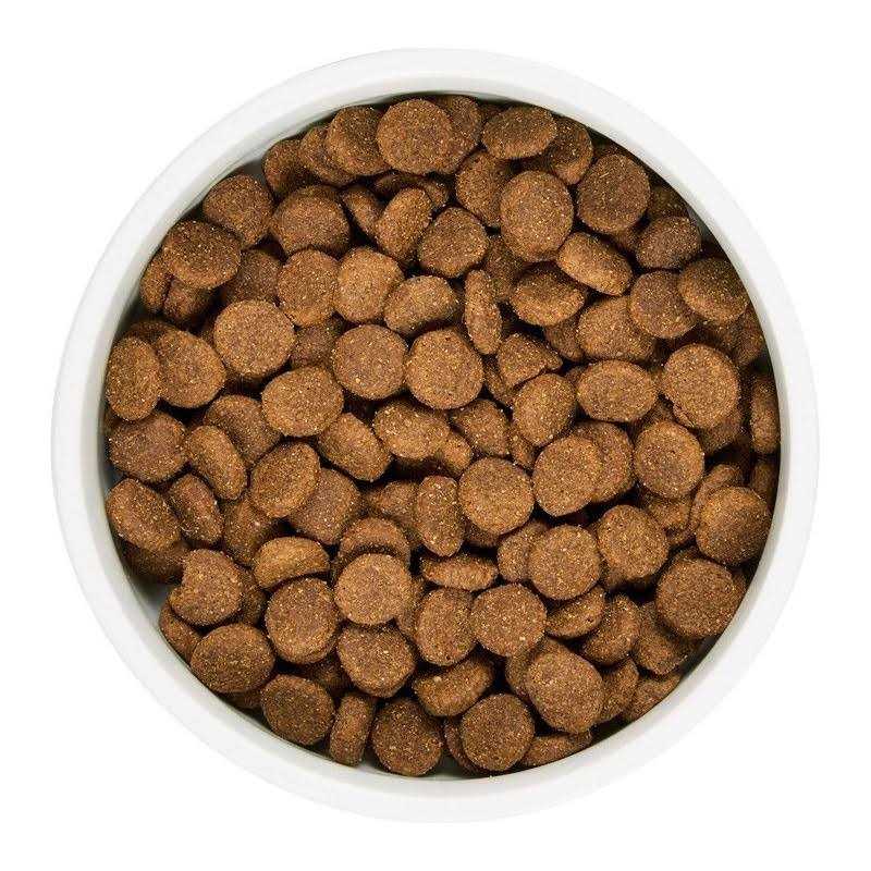 WholeHearted Grain Free All Life Stages Lamb and Lentil Formula Dry Dog Food - Nail Gallerys