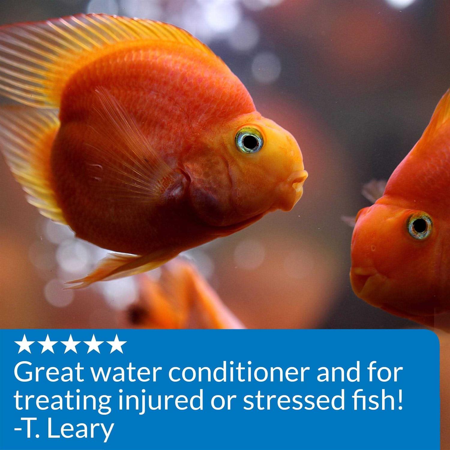 API Stress Coat - Nail Gallerys