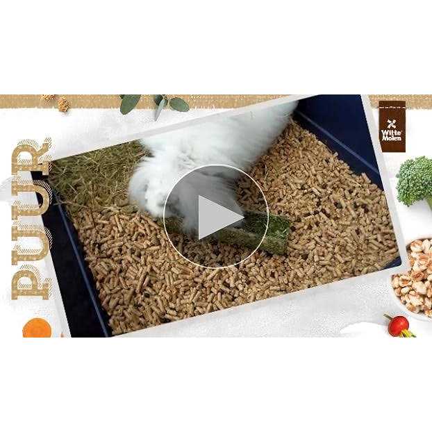 Witte Molen Pure Hamster Food Seed Mixture Mealworms Sunflower Seeds - Nail Gallerys