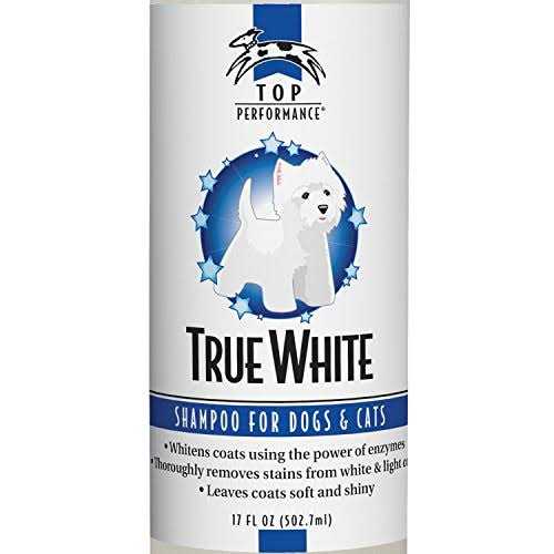 Top Performance True White Whitening Shampoo - Nail Gallerys