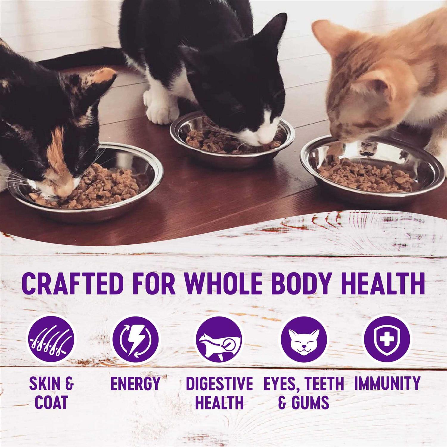 Wellness Healthy Indulgence Grain-Free Gravies Variety Pack Wet Cat Food Pouch - Nail Gallerys