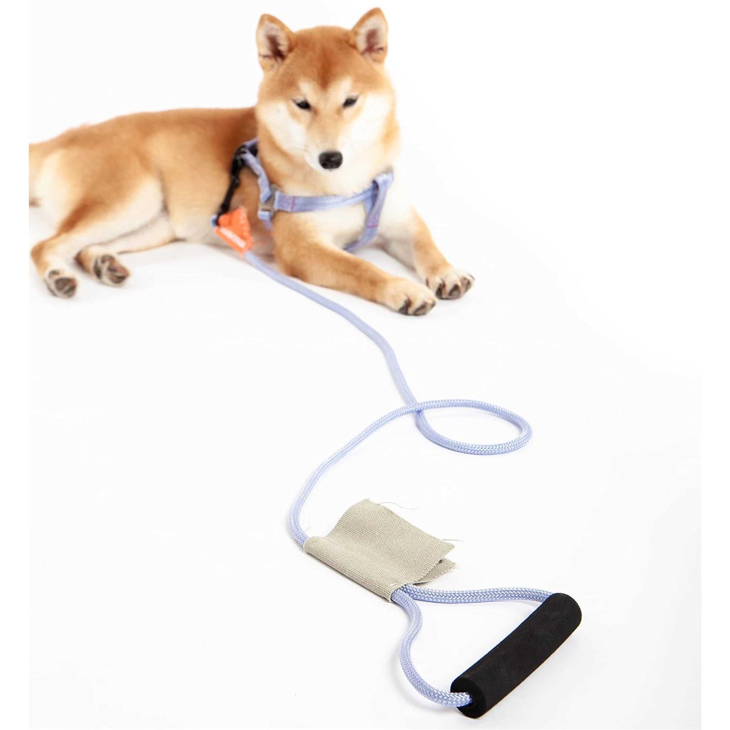 Touchdog Macaron 2-in-1 Durable Nylon Dog Harness and Leash - Nail Gallerys