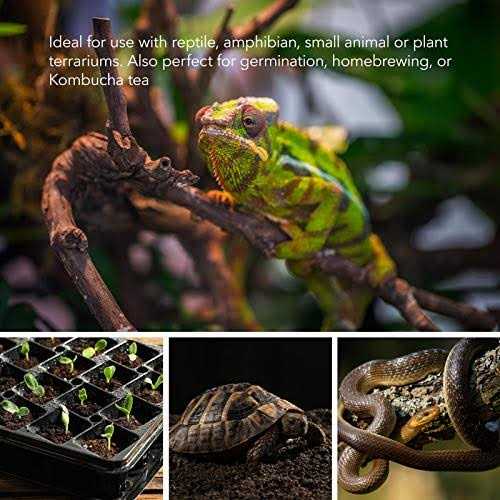 BN-LINK Durable Reptile Heating Pad 8 X Digital Thermostat Under Tank Heater Terrarium Warmer Combo Set for Turtles - Nail Gallerys