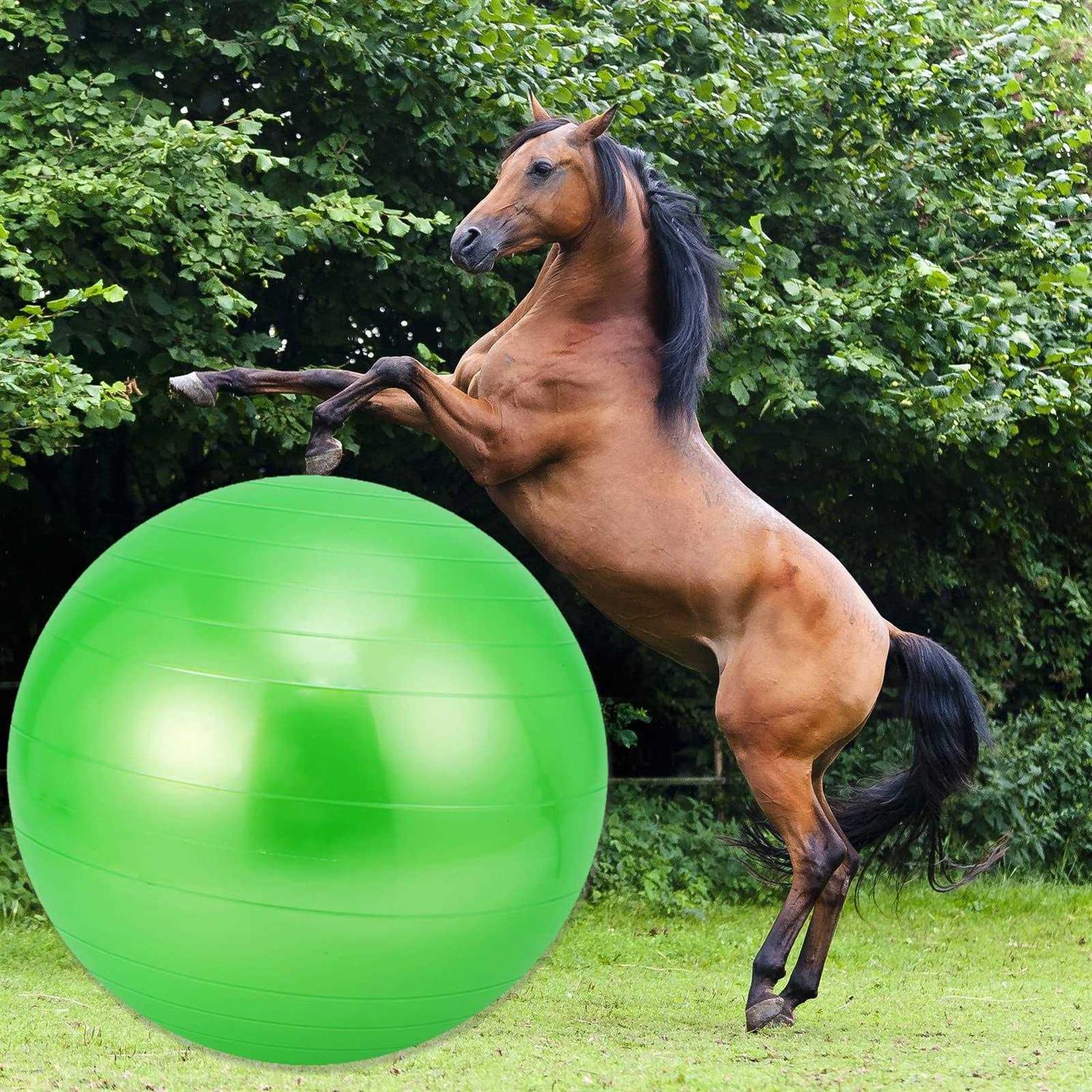 capuca Large Horse Balls for Play 30 Inch Anti-Burst Mega Herding Ball Giant Horse for Dogs Goats Horses to Play with Pump - Nail Gallerys
