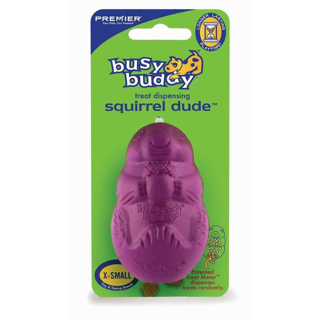 Busy Buddy Squirrel Dude Dog Toy - Nail Gallerys