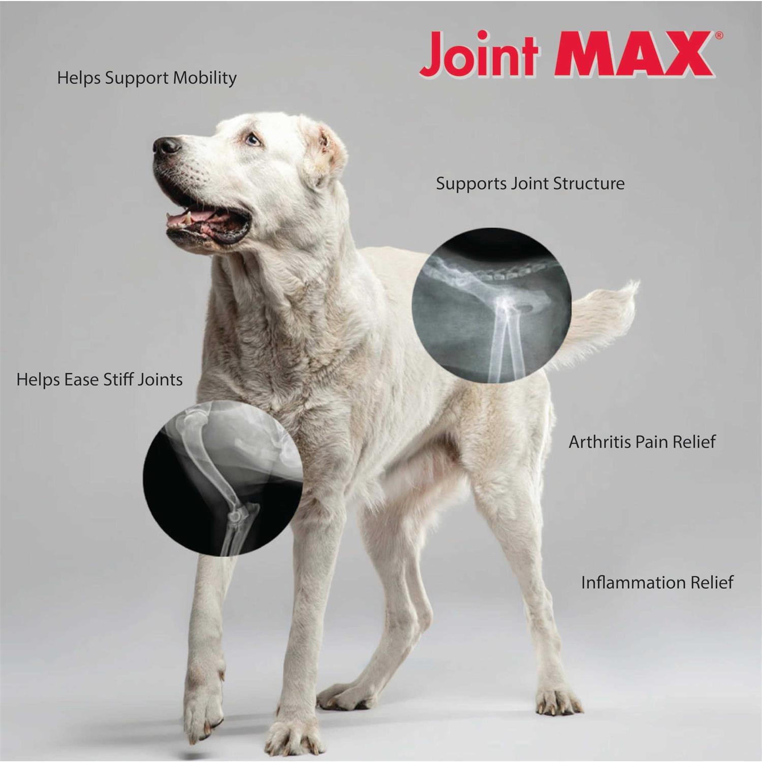 Joint MAX Triple Strength Soft Chews - Nail Gallerys